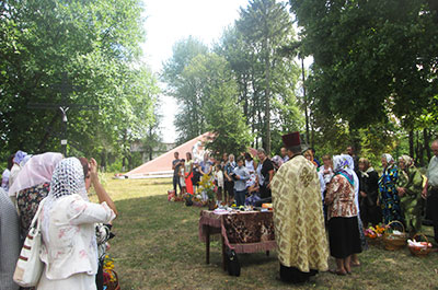 lapkivtsi2