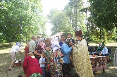 lapkivtsi3