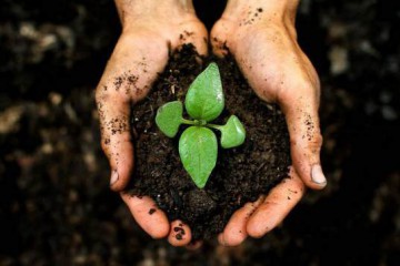 Хто і чому виступає за негайний продаж українських чорноземів
