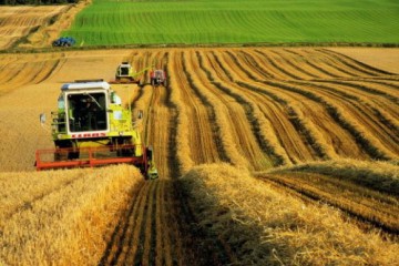 ВРУ пропонує перейти на єдину форму для сільгоспкооперативів