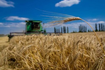 Ліквідація МінАПК: навіщо різати курку, яка несе золоті яйця?