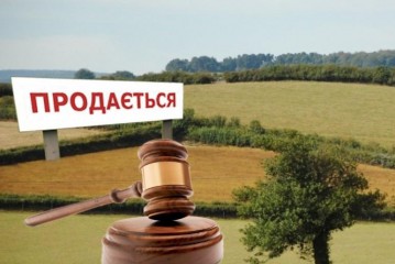 Сергій Лабазюк: Перші три роки купувати землю повинні лише фізичні особи!