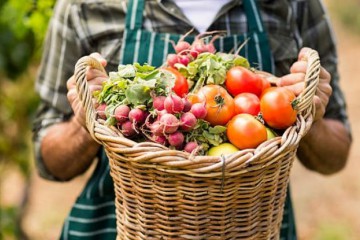 Сергій Лабазюк: Завдяки кооперації дрібні фермери зможуть конкурувати з великими агрохолдингами!