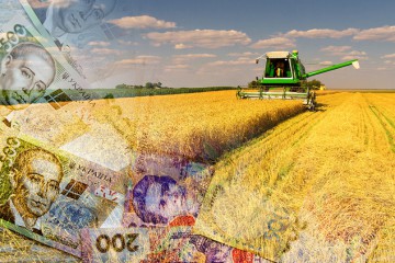 Бюрократія заважає аграріям вчасно отримати допомогу від держави – Лабазюк