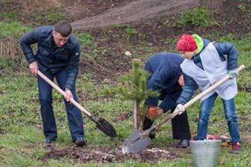 У Хмельницькому та Волочиську разом із громадою Лабазюк висадив більше трьохсот дерев